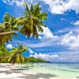 SEYCHELLES  NOVEMBRE