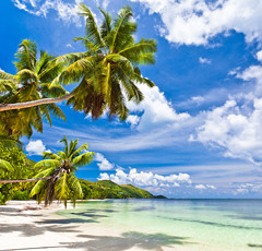 SEYCHELLES  DICEMBRE