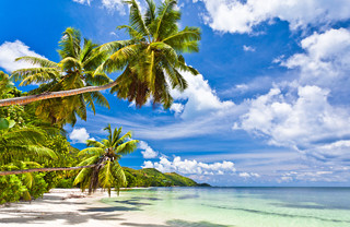 SEYCHELLES  NOVEMBRE